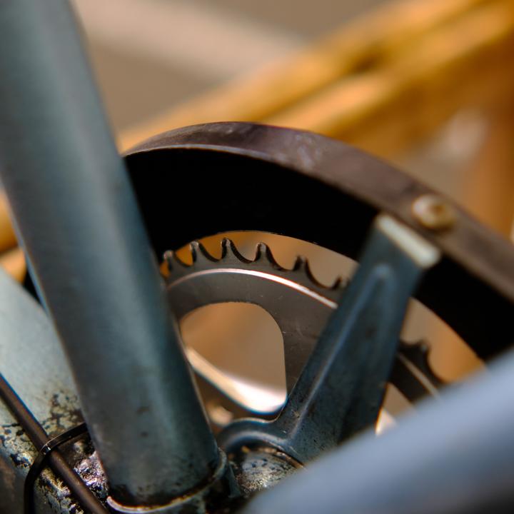 Durchgenudeltes Kettenblatt