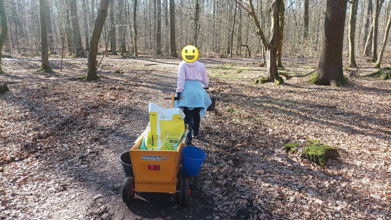 Cooper D, Bollerwagen