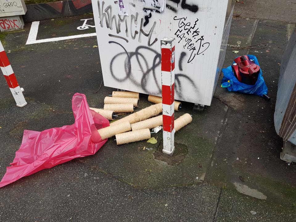 Defekter Kratzbaum und Elektroschrott einfach zu den Altglascontainern gelegt.