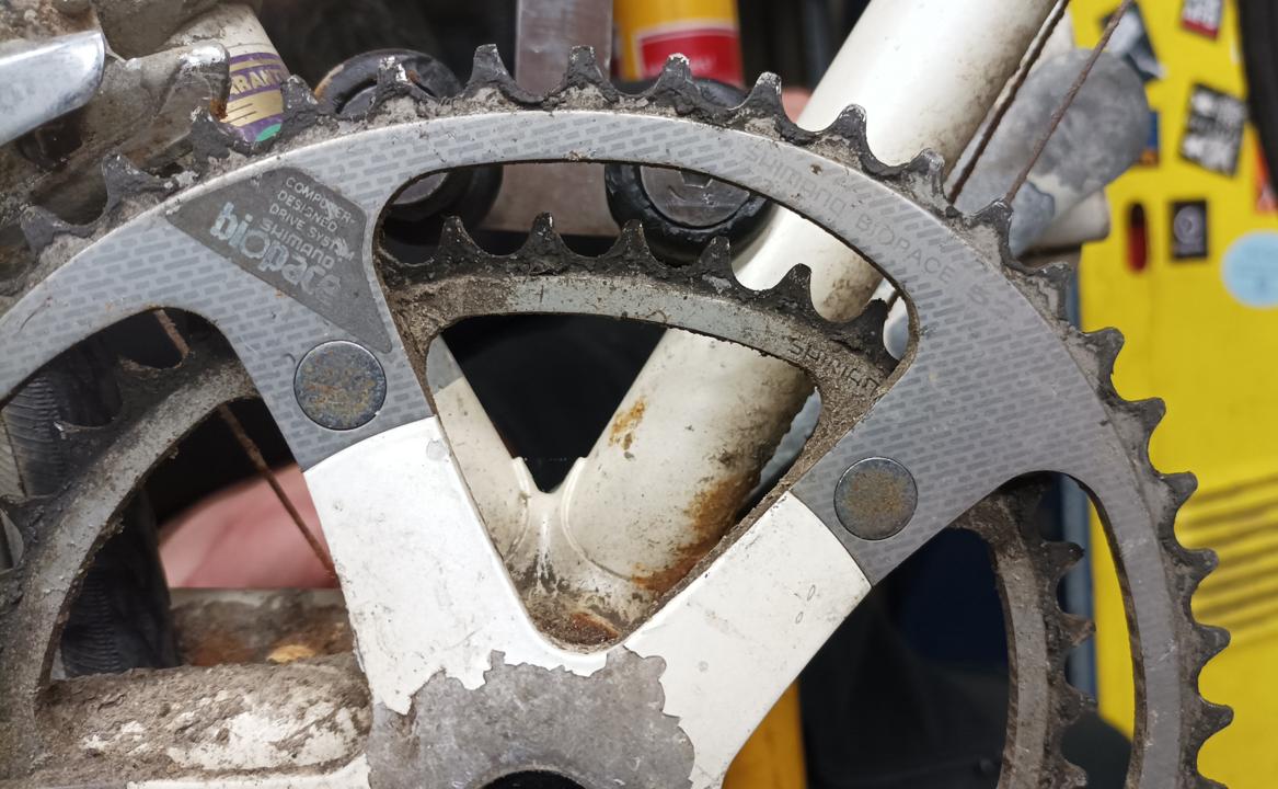 Santé Biopace-Kettenblaetter, Sonderedition